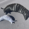 articulated slug fidget toy