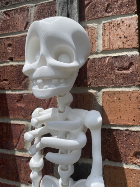 JUMBO XXL Articulated Skeleton / 30 inches long! / 3D Printed